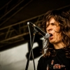 Metal Crowd 2013